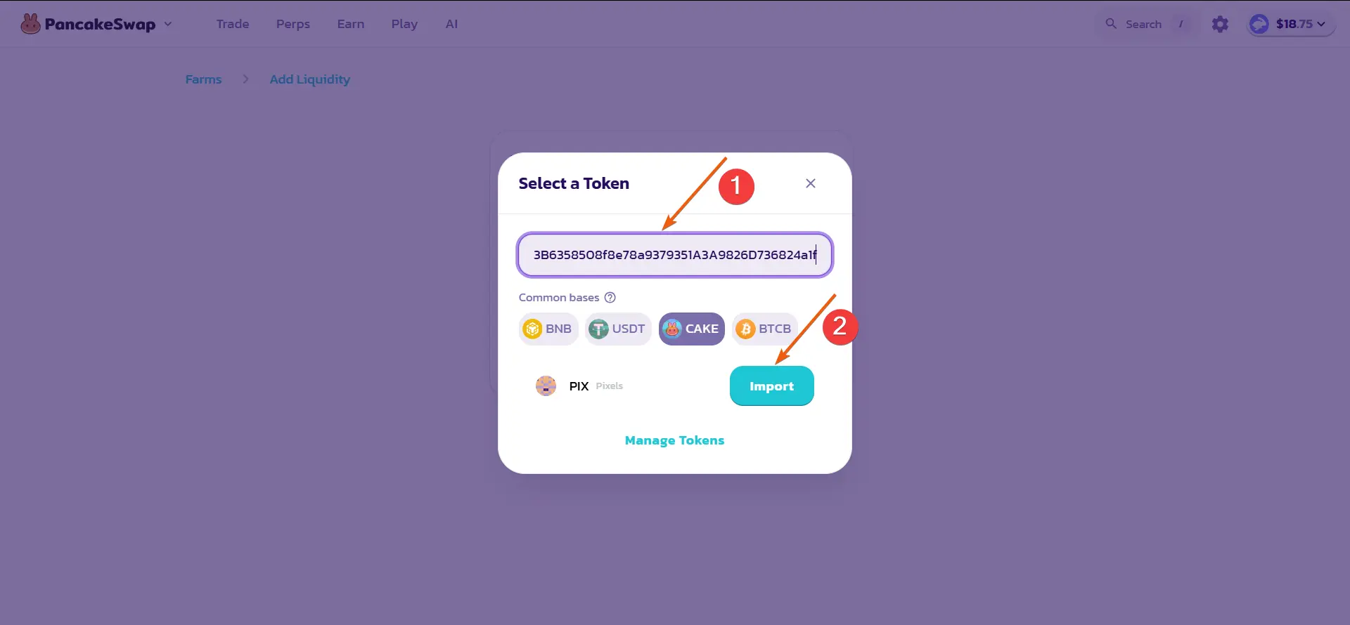 PancakeSwap liquidity guide, step 7