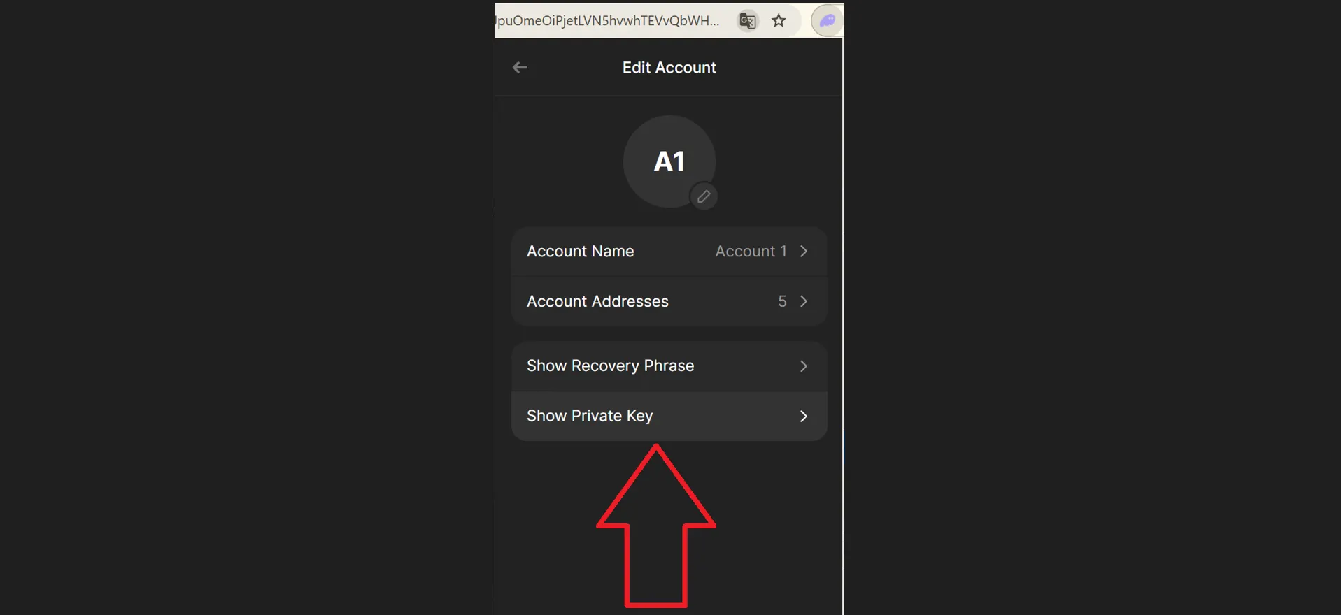 Solana honeypot token, step 33
